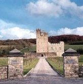 Cloghan Castle